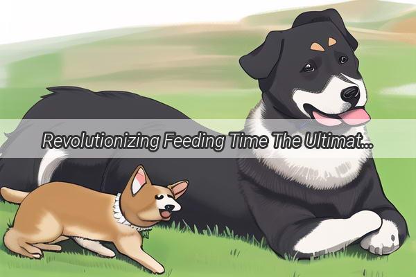 Revolutionizing Feeding Time The Ultimate Edible Delight for Your Border Collie